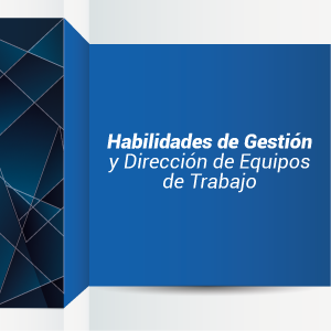 Habilidades de gestión y dirección de equipos de trabajo